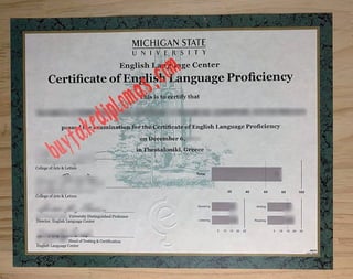 Michigan State University English Language Center certificate