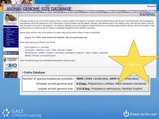 On any given day, 35% of our users are there for the very first time!