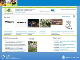Only 29% found the databases via the library website.