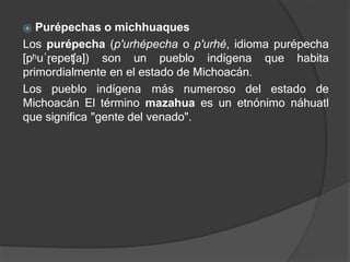 ⦿ Purépechas o michhuaques
Los purépecha (p'urhépecha o p'urhé, idioma purépecha
[pʰuˈɽepeʧa]) son un pueblo indígena que habita
primordialmente en el estado de Michoacán.
Los pueblo indígena más numeroso del estado de
Michoacán El término mazahua es un etnónimo náhuatl
que significa "gente del venado".
 