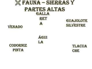  Fauna – Sierras y
     partes altas
           Galla
            ret    Guajolote
            a      silvestre
Venado

           Águi
           la
Codorniz             Tlacua
 pinta               che
 