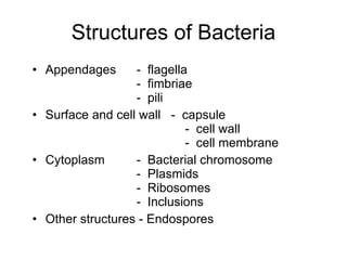 Structures of Bacteria Appendages -  flagella -  fimbriae -  pili Surface and cell wall  -  capsule     -  cell wall     -  cell membrane Cytoplasm -  Bacterial chromosome -  Plasmids -  Ribosomes -  Inclusions Other structures - Endospores 