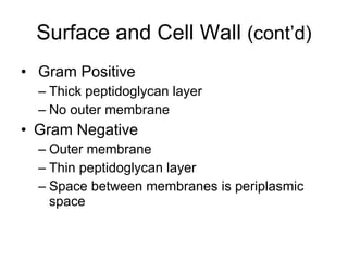 Surface and Cell Wall  (cont’d) Gram Positive Thick peptidoglycan layer No outer membrane Gram Negative Outer membrane Thin peptidoglycan layer Space between membranes is periplasmic space 