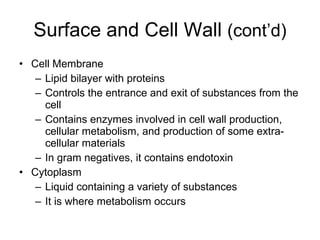 Surface and Cell Wall  (cont’d) Cell Membrane Lipid bilayer with proteins Controls the entrance and exit of substances from the cell Contains enzymes involved in cell wall production, cellular metabolism, and production of some extra-cellular materials In gram negatives, it contains endotoxin Cytoplasm Liquid containing a variety of substances It is where metabolism occurs 