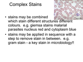 Complex Stains stains may be combined  which stain different structures different colours.  e.g. giemsa stains malarial parasites nucleus red and cytoplasm blue stains may be applied in sequence with a step to remove stain in between.  e.g. gram stain - a key stain in microbiology!! 