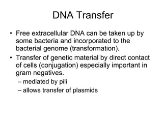 DNA Transfer Free extracellular DNA can be taken up by some bacteria and incorporated to the bacterial genome (transformation). Transfer of genetic material by direct contact of cells (conjugation) especially important in gram negatives. mediated by pili allows transfer of plasmids 
