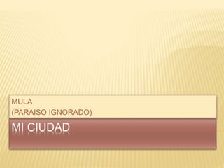 MULA
(PARAISO IGNORADO)