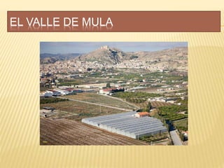 EL VALLE DE MULA