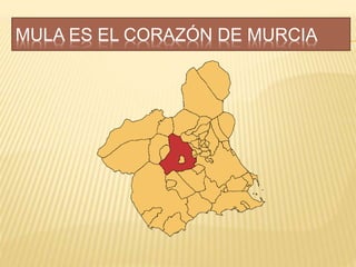 MULA ES EL CORAZÓN DE MURCIA
