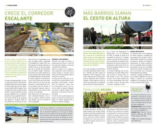 MI CIUDAD /1110/ CIUDAD VERDE
La tercera etapa de la intervención avanza hacia Facundo Zuvíría.
El objetivo es preservar la higiene urbana y prevenir los riesgos de anegamiento.
CRECE EL CORREDOR
ESCALANTE
En poco tiempo se podrá disfru-
tar de la tercera etapa de la in-
tervención que recupera zonas de
vías del ferrocarril en desuso pa-
ra ser aprovechadas como espa-
cios verdes y mejora la circulación
peatonal, vehicular y de bicicletas.
La obra contempla la parquización
e iluminación que aportan a la se-
guridad en la zona.
Las obras correspondientes a la terce-
ra etapa del Corredor Verde Escalan-
te podrán disfrutarse en poco tiempo.
La intervención sigue la traza del fe-
rrocarril desde Martín Zapata y Pasa-
je Ingenieros hasta avenida Facundo
Zuviría, y busca revalorizar las áreas
vacantes, dándoles uso y vinculación
barrial, así como seguridad al sector.
Se enmarca dentro de los proyectos
que apuntan a recuperar zonas de
vías donde hace 25 años que no tran-
LosvecinosdeGuadalupeEsteyCan-
dioti Sur están siendo notificados so-
bre la vigencia de la ordenanza que
obliga a contar con estos dispositivos
para la disposición de residuos do-
miciliarios. En los Centros de Distri-
tos se brinda información y asesora-
mientoparasuinstalación.
En la nota que llega a los domicilios
se brinda información sobre el dise-
ño y medidas que debe respetar el
dispositivo a fin de asegurar la ade-
cuada contención de las bolsas para
evitar su dispersión sobre veredas o
calzadas; y sobre aspectos a tener en
cuenta al momento de su instalación
para no afectar el tránsito peatonal.
sitan los trenes, recuperándolas como
zona de espacio verde y mejorando
la movilidad de la ciudad. Pero tam-
bién optimiza el tránsito vehicular en
sentido norte sur, ya que hoy pueden
pasar por 9 de Julio, por San Jeróni-
mo, por Martín Zapata. Asimismo,
por tratarse de un paseo peatonal ap-
to para el tránsito de bicicletas mejora
la movilidad peatonal y de bicisendas.
Se mejora, además, la iluminación,
con lo cual el barrio tiene más segu-
ridad y dentro de las tareas de par-
quización y mejoramiento de la zo-
na, que abarca unos 300 metros, se
están plantando especies nuevas y
manteniendo la zona verde de todo
el sector ya recuperado.
Cabe destacar que las obras que se
están realizando brindan a los ve-
cinos un espacio común de mucha
más calidad, y que a la vez pone en
valor la propiedad.
VEREDAS Y BICISENDAS
Durante esta etapa se realizó la
preparación del terreno a través de
una profunda limpieza, nivelación
y traslado de excedentes.
Ahora se trabaja en la compacta-
ción, nivelación y suelo cemento; al
mismo tiempo se comenzó con la
colocación del intertrabado sobre la
senda de vinculación.
Se tiene prevista asimismo, la eje-
cución de una senda deportiva con
pavimento intertrabado, veredas,
áreas de descanso, cestos, ban-
cos, iluminación nueva y los cru-
ces de calles en Agustín Delgado,
4 de Enero y Martín Zapata. Para-
lelamente, se forestará el sector in-
tervenido.
Otra de las tareas proyectadas es la
puesta en valor de la ermita que al-
berga a la Virgen ubicada entre 4
de Enero y Agustín Delgado.
MÁS BARRIOS SUMAN
EL CESTO EN ALTURA
En el marco del Reglamento de
Edificaciones y de la Ordenanza
N°11.865, la medida se funda en la
necesidad de preservar la higiene
urbana y prevenir factores que pue-
dan incrementar los riesgos de ane-
gamientos en diversos sectores de la
ciudad por la obstrucción de los sis-
temas de desagües urbanos en caso
de lluvias intensas.
La vecinal Guadalupe Este está de-
limitada por las calles Obispo Prín-
cipe al norte, J.P. López al Sur, Av.
Alte. Brown al este, y Pje. Pizorno
al oeste. Por su parte Candioti Sur
es el área comprendida entre Bule-
var Gálvez al norte, Avenida Alem
al sureste; y Belgrano al oeste.
MEJORAS EN LA CIRCULACIÓN
El Vivero Municipal, ubicado en el
Jardín Botánico Ing. Lorenzo Parodi,
alcanzó un récord en la producción de
árboles y plantines florales. La inicia-
tiva se enmarca en Plan de Arbola-
do Público 2011-2015, que tiene co-
mo objetivo plantar más de 6.000
árboles por año.
El Municipio habilitó la circulación en San Jeróni-
mo y J. M. Zuviría. El sector fue pavimentado para
dar su fisonomía definitiva al cruce que se había
abierto en el terraplén ferroviario porque impedía
la vinculación entre los barrios República de Los
Hornos y Fomento 9 de Julio. Se incluyó el cruce
peatonal que da continuidad a la senda del Corre-
dor Verde Escalante.
POR CONSULTAS
Y DENUN CIAS
En el Centro de Distrito corres-
pondiente a cada barrio se pue-
den realizar consultas respecto
a la instalación de los cestos en
altura y también denuncias por
actos de vandalismo.
Guadalupe Este: Centro de Dis-
trito Este, Hernandarias y Gral.
Paz; teléfono 4806812/13.
Candioti Sur: Distrito Centro,
Estación Belgrano (Bv. Gálvez
1150); teléfono 4571530.
+ info: www.santafeciudad.gov.
ar/ciudadverde
Actualmente, la forestación urbana
de Santa Fe se sustenta en ejempla-
res producidos en las dos hectáreas
y media con las que cuenta el Vive-
ro Municipal. En todos los espacios
públicos se plantan exclusivamente
especies nativas, preferentemente
originarias del litoral fluvial.
PRODUCCIÓN RÉCORD
BUENA RESPUESTA
La campaña sobre el uso obligatorio
de cestos comenzó a mediados del
año pasado en las vecinales 7 Jefes y
Villa Setúbal. Después de un tiempo
de puesta en marcha y de realizar el
relevamiento en ambas jurisdiccio-
nes, los resultados fueron considera-
dos positivos, ya que en la actualidad
más del 65 % de las viviendas cuen-
tan en sus frentes con el correspon-
diente depósito para residuos.
Asimismo, y aunque la medida no ri-
ge de manera obligatoria en toda la
ciudad, se observa un crecimiento
sostenido de la instalación de cestos
en altura en todo el ejido urbano.
 