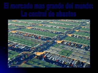 El mercado mas grande del mundo: La central de abastos 