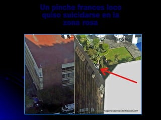 Un pinche frances loco quiso suicidarse en la zona rosa 