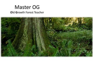 Master OG
Old Growth Forest Teacher
 