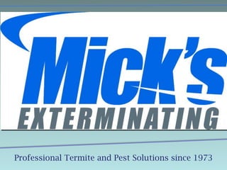 Professional Termite and Pest Solutions since 1973 