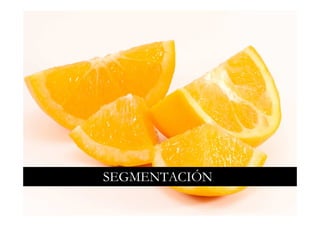 SEGMENTACIÓN
 