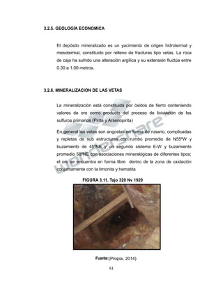 Propiedad Intelectual de la Universidad Nacional de San Agustín de Arequipa
3.2.5. GEOLOGÍA ECONOMICA
El depósito mineralizado es un yacimiento de origen hidrotermal y
mesotermal, constituido por relleno de fracturas tipo vetas. La roca
de caja ha sufrido una alteración argílica y su extensión fluctúa entre
0.30 a 1.00 metros.
3.2.6. MINERALIZACION DE LAS VETAS
La mineralización está constituida por óxidos de fierro conteniendo
valores de oro como producto del proceso de lixiviación de los
sulfuros primarios (Pirita y Arsenopirita)
En general las vetas son angostas en forma de rosario, complicadas
y repletas de sub estructuras con rumbo promedio de N55ºW y
buzamiento de 45ºNE y un segundo sistema E-W y buzamiento
promedio 58ºNE con asociaciones mineralógicas de diferentes tipos;
el oro se encuentra en forma libre dentro de la zona de oxidación
conjuntamente con la limonita y hematita
FIGURA 3.11. Tajo 320 Nv 1920
Fuente:(Propia, 2014)
61
 