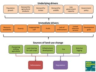 Micmac ws wcs redd experiences v20120730
