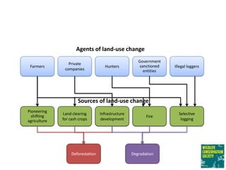 Micmac ws wcs redd experiences v20120730