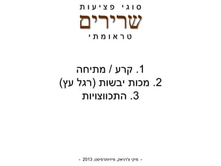 -‫צ‬ ‫מיקי‬'‫רניאק‬,‫פיזיותרפיסט‬,2013-
‫שרירים‬
‫ת‬ ‫ו‬ ‫ע‬ ‫י‬ ‫צ‬ ‫פ‬ ‫י‬ ‫ג‬ ‫ו‬ ‫ס‬
‫י‬ ‫ת‬ ‫מ‬ ‫ו‬ ‫א‬ ‫ר‬ ‫ט‬
1.‫קרע‬/‫מתיחה‬
2.‫יבשות‬ ‫מכות‬(‫עץ‬ ‫רגל‬)
3.‫התכווצויות‬
 