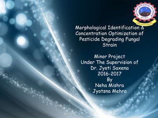 Morphological Identification &
Concentration Optimization of
Pesticide Degrading Fungal
Strain
Minor Project
Under The Supervision of
Dr. Jyoti Saxena
2016-2017
By
Neha Mishra
Jyotsna Mehra
 