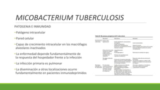 MICOBACTERIUM TUBERCULOSIS
PATOGENIA E INMUNIDAD
•Patógeno intracelular
•Pared celular
•Capaz de crecimiento intracelular en los macrófagos
alveolares inactivados
•La enfermedad depende fundamentalmente de
la respuesta del hospedador frente a la infección
•La infección primaria es pulmonar
•La diseminación a otras localizaciones ocurre
fundamentalmente en pacientes inmunodeprimidos
 