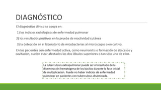 DIAGNÓSTICO
El diagnóstico clínico se apoya en:
1) los indicios radiológicos de enfermedad pulmonar
2) los resultados positivos en la prueba de reactividad cutánea
3) la detección en el laboratorio de micobacterias al microscopio o en cultivo.
En los pacientes con enfermedad activa, como neumonitis o formación de abscesos y
cavitación, suelen estar afectados los dos lóbulos superiores o tan sólo uno de ellos.
La tuberculosis extrapulmonar puede ser el resultado de la
diseminación hematógena de los bacilos durante la fase inicial
de multiplicación. Puede no haber indicios de enfermedad
pulmonar en pacientes con tuberculosis diseminada.
 