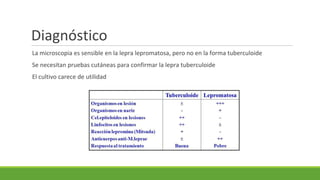 Diagnóstico
La microscopia es sensible en la lepra lepromatosa, pero no en la forma tuberculoide
Se necesitan pruebas cutáneas para confirmar la lepra tuberculoide
El cultivo carece de utilidad
 