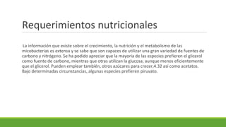Requerimientos nutricionales
La información que existe sobre el crecimiento, la nutrición y el metabolismo de las
micobacterias es extensa y se sabe que son capaces de utilizar una gran variedad de fuentes de
carbono y nitrógeno. Se ha podido apreciar que la mayoría de las especies prefieren el glicerol
como fuente de carbono, mientras que otras utilizan la glucosa, aunque menos eficientemente
que el glicerol. Pueden emplear también, otros azúcares para crecer,4.32 así como acetatos.
Bajo determinadas circunstancias, algunas especies prefieren piruvato.
 