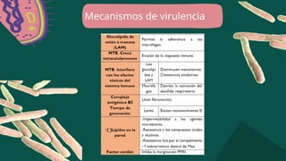 Mecanismos de virulencia
 