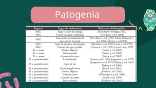 Patogenia
 