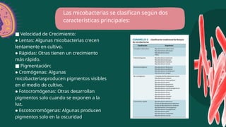 ■ Velocidad de Crecimiento:
● Lentas: Algunas micobacterias crecen
lentamente en cultivo.
● Rápidas: Otras tienen un crecimiento
más rápido.
■ Pigmentación:
● Cromógenas: Algunas
micobacteriasproducen pigmentos visibles
en el medio de cultivo.
● Fotocromógenas: Otras desarrollan
pigmentos solo cuando se exponen a la
luz.
● Escotocromógenas: Algunas producen
pigmentos solo en la oscuridad
Las micobacterias se clasifican según dos
características principales:
 
