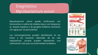 Diagnóstico
Mycobacterium avium
Mycobacterium avium puede confirmarse con
hemocultivo o cultivo de médula ósea o con biopsia (p.
ej., biopsia hepática o de ganglios linfáticos necróticos
con aguja por vía percutánea).
Los microorganismos pueden identificarse en las
heces y las muestras obtenidas de las vías
respiratorias, aunque pueden representar una
colonización más que una enfermedad verdadera.
 