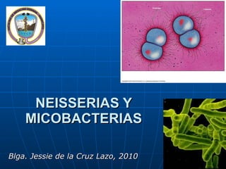 NEISSERIAS Y MICOBACTERIAS Blga. Jessie de la Cruz Lazo, 2010 