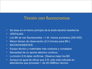 Tinción con fluorocromos
• Se basa en el mismo principio de la ácido-alcohol resistencia
• VENTAJAS:
• Los BK se ven fluorescentes --> M. menos aumentos (200-400)
• Menor tiempo de observación (2-3 minutos para BK-)
• INCONVENIENTES:
• Equipo técnico y materiales más costosos y complejos
• Necesidad de un aporte eléctrico continuo.
• La tinción Z-N debe confirmar. Observa mejor los BK
• Aunque es igual de eficaz que Z-N, sólo está indicada en
laboratorios que procesan + de 25-30BKpor técnico
 