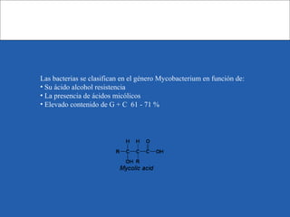 Las bacterias se clasifican en el género Mycobacterium en función de:
• Su ácido alcohol resistencia
• La presencia de ácidos micólicos
• Elevado contenido de G + C 61 - 71 %
 