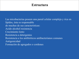 Las micobacterias poseen una pared celular compleja y rica en
lípidos, ésta es responsable
de muchas de sus características:
Acido alcohol resistencia
Crecimiento lento
Resistencia a detergentes
Resistencia a los antibióticos antibacterianos comunes
Antigenicidad
Formación de agregados o cordones
Estructura
 