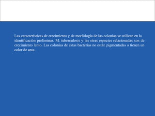 Las características de crecimiento y de morfología de las colonias se utilizan en la
identificación preliminar. M. tuberculosis y las otras especies relacionadas son de
crecimiento lento. Las colonias de estas bacterias no están pigmentadas o tienen un
color de ante.
 