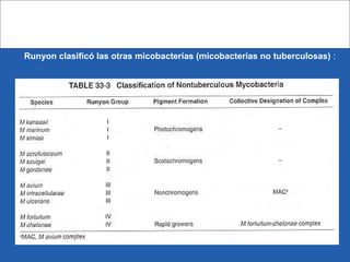 Runyon clasificó las otras micobacterias (micobacterias no tuberculosas) :
 