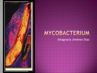 Altagracia Jiménez Díaz
 