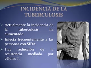  Actualmente la incidencia de
  la     tuberculosis       ha
  aumentado.
 Infecta frecuentemente a las
  personas con SIDA.
 Hay     reducción   de  la
  resistencia   mediada  por
  células T.
 