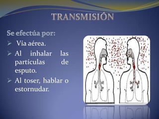  Vía aérea.
 Al   inhalar las
  partículas     de
  esputo.
 Al toser, hablar o
  estornudar.
 