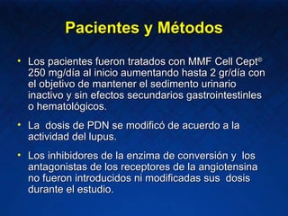 Pacientes y Métodos Los pacientes fueron tratados con MMF Cell Cept ®  250 mg/día al inicio aumentando hasta 2 gr/día con el objetivo de mantener el sedimento urinario inactivo y sin efectos secundarios gastrointestinles o hematológicos. La  dosis de PDN se modificó de acuerdo a la actividad del lupus. Los inhibidores de la enzima de conversión y  los antagonistas de los receptores de la angiotensina no fueron introducidos ni modificadas sus  dosis durante el estudio.  