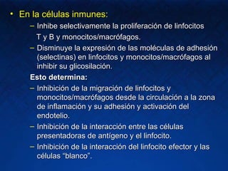 En la células inmunes: Inhibe selectivamente la proliferación de linfocitos  T y B y monocitos/macrófagos. Disminuye la expresión de las moléculas de adhesión (selectinas) en linfocitos y monocitos/macrófagos al inhibir su glicosilación. Esto determina: Inhibición de la migración de linfocitos y monocitos/macrófagos desde la circulación a la zona de inflamación y su adhesión y activación del endotelio. Inhibición de la interacción entre las células presentadoras de antígeno y el linfocito. Inhibición de la interacción del linfocito efector y las células “blanco”. 