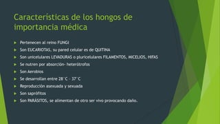 Características de los hongos de
importancia médica
   Pertenecen al reino FUNGI
   Son EUCARIOTAS, su pared celular es de QUITINA
   Son unicelulares LEVADURAS o pluricelulares FILAMENTOS, MICELIOS, HIFAS
   Se nutren por absorción- heterótrofos
   Son Aerobios
   Se desarrollan entre 28°C – 37°C
   Reproducción asexuada y sexuada
   Son saprófitos
   Son PARÁSITOS, se alimentan de otro ser vivo provocando daño.
 