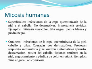 Micosis humanas 
Superficiales: Infecciones de la capa queratinizada de la piel y el cabello. No destructivas, importancia estética. Ejemplos: Pitiriasis versicolor, tiña negra, piedra blanca y piedra negra. 
Cutáneas: Infecciones de la capa queratinizada de la piel, cabello y uñas. Causadas por dermatofitos. Provocan respuesta inmunitaria y se vuelven sintomáticas (prurito, descamación, rotura del cabello, lesiones anulares en la piel, engrosamiento y pérdida de color en uñas). Ejemplos: Tiña ungueal, onicomicosis.  