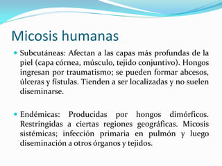 Micosis humanas 
Subcutáneas: Afectan a las capas más profundas de la piel (capa córnea, músculo, tejido conjuntivo). Hongos ingresan por traumatismo; se pueden formar abcesos, úlceras y fístulas. Tienden a ser localizadas y no suelen diseminarse. 
Endémicas: Producidas por hongos dimórficos. Restringidas a ciertas regiones geográficas. Micosis sistémicas; infección primaria en pulmón y luego diseminación a otros órganos y tejidos.  