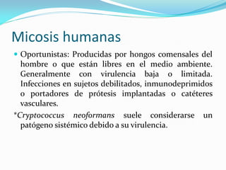 Micosis humanas 
Oportunistas: Producidas por hongos comensales del hombre o que están libres en el medio ambiente. Generalmente con virulencia baja o limitada. Infecciones en sujetos debilitados, inmunodeprimidos o portadores de prótesis implantadas o catéteres vasculares. 
*Cryptococcus neoformans suele considerarse un patógeno sistémico debido a su virulencia.  
