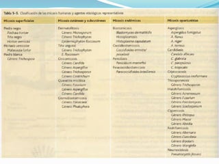 Micología