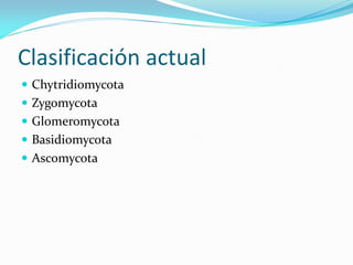 Clasificación actual 
Chytridiomycota 
Zygomycota 
Glomeromycota 
Basidiomycota 
Ascomycota  