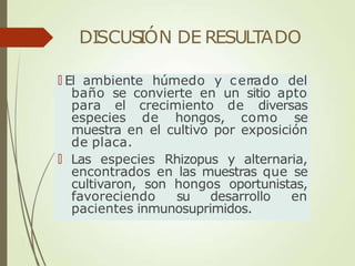 DISCUS
IÓN DE RESULTADO
🠶 El ambiente húmedo y cerrado del
baño se convierte en un sitio apto
para el crecimiento de diversas
especies de hongos, como se
muestra en el cultivo por exposición
de placa.
🠶 Las especies Rhizopus y alternaria,
encontrados en las muestras que se
cultivaron, son hongos oportunistas,
favoreciendo su desarrollo en
pacientes inmunosuprimidos.
 
